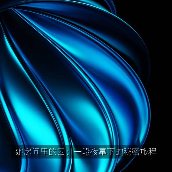 她房间里的云：一段夜幕下的秘密旅程