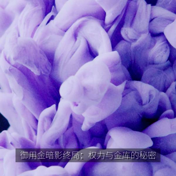 御用金暗影终局：权力与金库的秘密