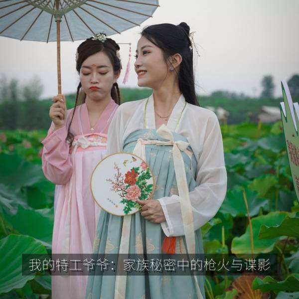 我的特工爷爷：家族秘密中的枪火与谍影 海报