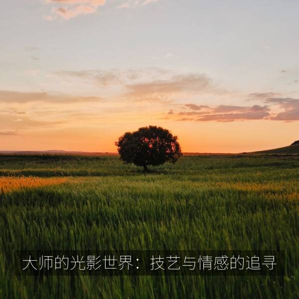 大师的光影世界：技艺与情感的追寻