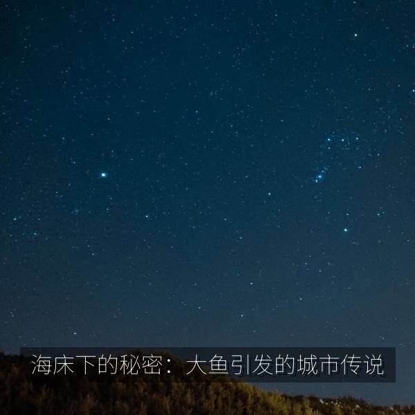 海床下的秘密：大鱼引发的城市传说